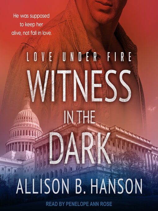 Title details for Witness in the Dark by Allison B. Hanson - Available